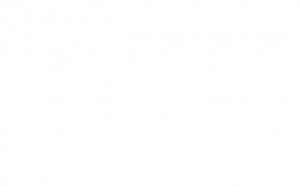 Country 103.7 The Gator